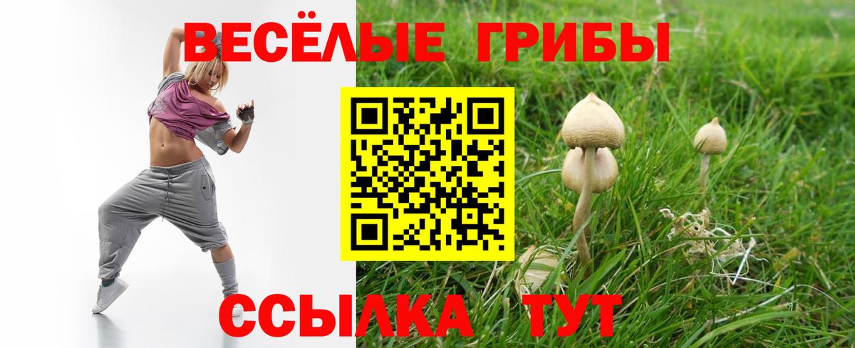 наркотики  Вход с VPN  Балашиха  Галлюциногенные грибы GOLDEN TEACHER  Галлюциногенные грибы ЛСД 